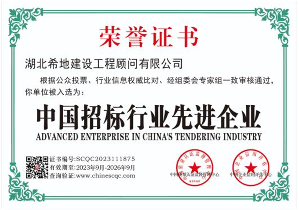中国招标行业先进企业